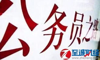 聊城电子商务专业公务员