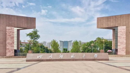 西华大学电子商务专业有vb吗