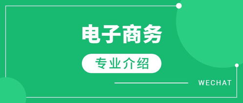电子商务专业该怎么办啊