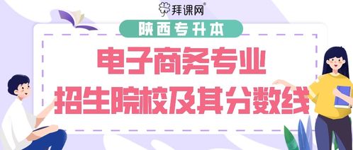 专接本电子商务专业真题