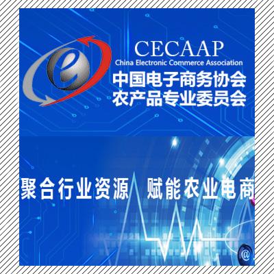 中国电子商务专业好不好